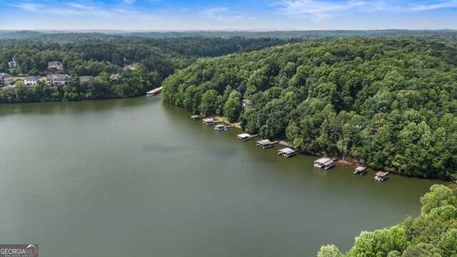 221 Hickory Nut Trl, Dawsonville, GA 30534