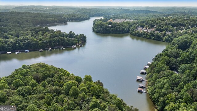 221 Hickory Nut Trl, Dawsonville, GA 30534