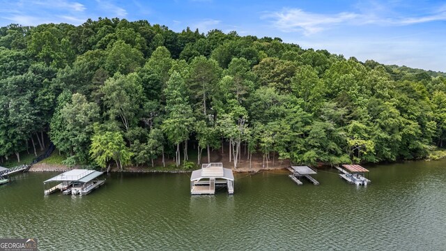 221 Hickory Nut Trl, Dawsonville, GA 30534