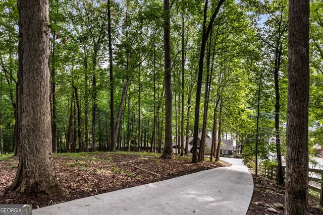 221 Hickory Nut Trl, Dawsonville, GA 30534