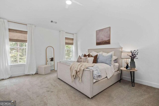 8415 Azure Overlook Trl, Gainesville, GA 30506 - carpeted bedroom with vaulted ceiling, multiple windows, baseboards, and a ceiling fan