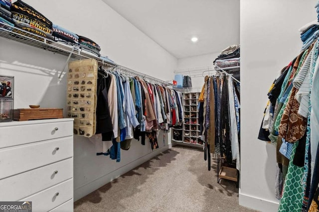 8415 Azure Overlook Trl, Gainesville, GA 30506 - spacious closet with carpet flooring