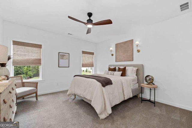 8415 Azure Overlook Trl, Gainesville, GA 30506 - carpeted bedroom with baseboards and ceiling fan