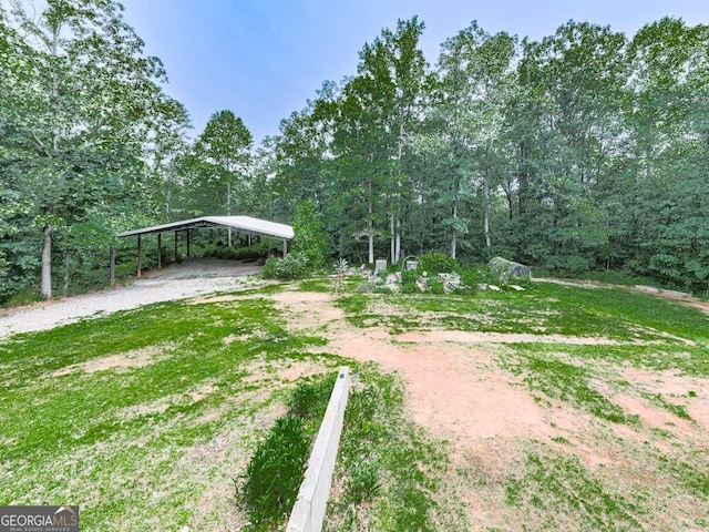 4454 Damascus Rd, Jasper, GA 30143 - view of yard with dirt driveway, a detached carport, and a forest view