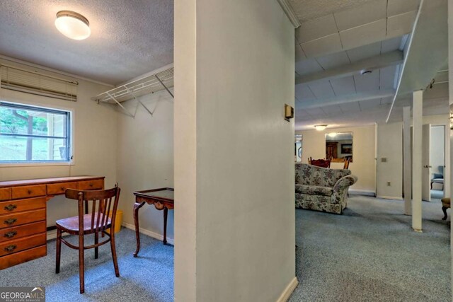 4618 Jones Gap Rd, Hiawassee, GA 30546 - home office with carpet floors, a textured ceiling, and baseboards