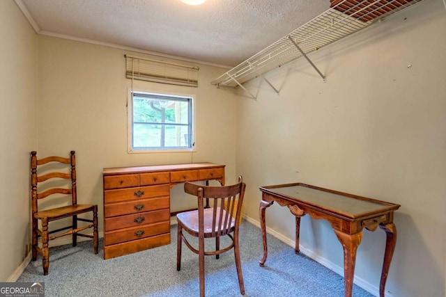 4618 Jones Gap Rd, Hiawassee, GA 30546 - office with a textured ceiling, carpet flooring, baseboards, and ornamental molding