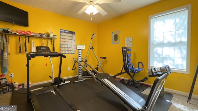 50 Kensington Dr, Cleveland, GA 30528 - exercise room featuring a ceiling fan, plenty of natural light, and baseboards