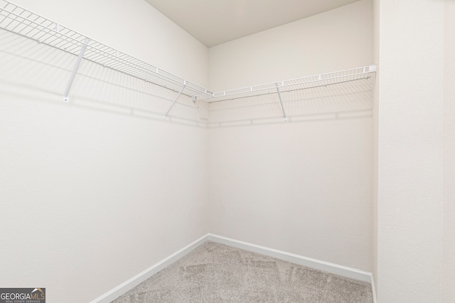 295 Limestone Cir, Conyers, GA 30013 - walk in closet featuring carpet flooring