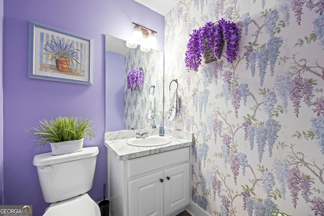 290 Bowers Estates Dr, Hartwell, GA 30643 - bathroom with vanity and toilet