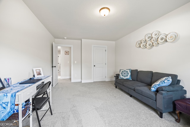290 Bowers Estates Dr, Hartwell, GA 30643 - carpeted office space with baseboards