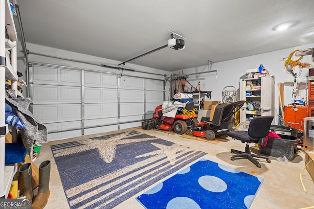 290 Bowers Estates Dr, Hartwell, GA 30643 - garage featuring a garage door opener
