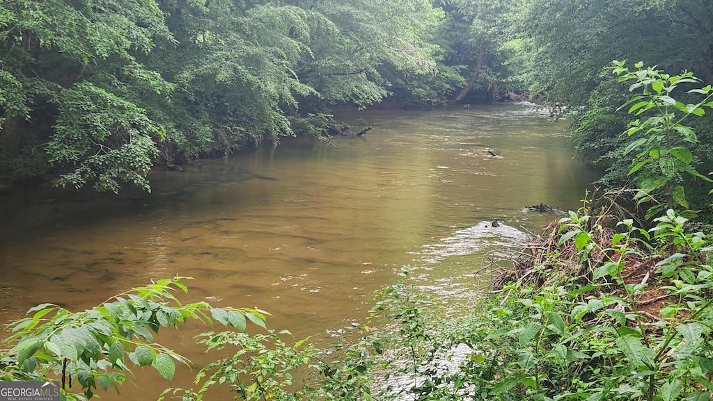 232 Fenwick Wood, Clarkesville, GA 30523 - water view