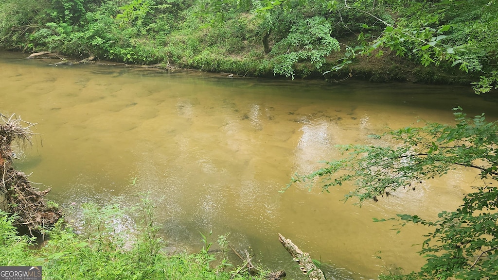 232 Fenwick Wood, Clarkesville, GA 30523 - water view