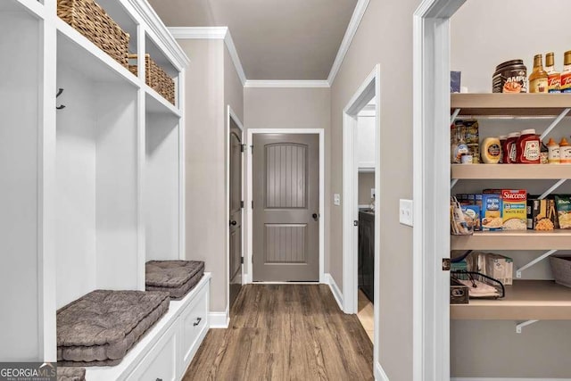 2980 Beards Rd, Buford, GA 30518 - mudroom featuring ornamental molding and wood finished floors