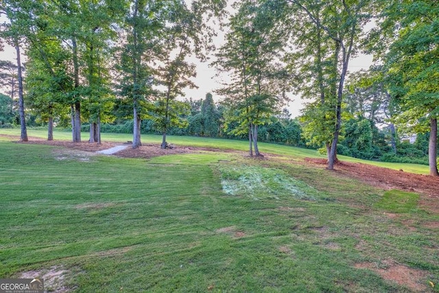 2980 Beards Rd, Buford, GA 30518 - view of green lawn