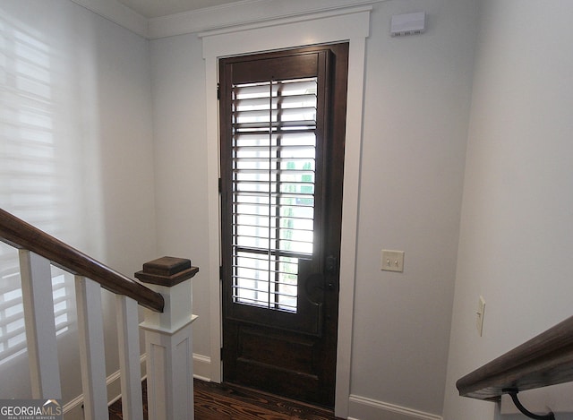 603 W 1st St, Rome, GA 30161 - foyer with healthy amount of natural light, dark wood-style floors, baseboards, and ornamental molding