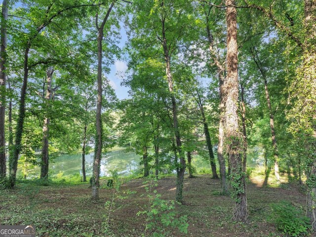 225 Melea Ln, Calhoun, GA 30701