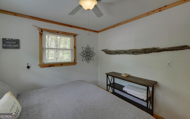 171 Friendship Dr, Hartwell, GA 30643 - bedroom featuring ceiling fan
