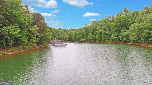 171 Friendship Dr, Hartwell, GA 30643 - water view featuring a heavily wooded area and a dock