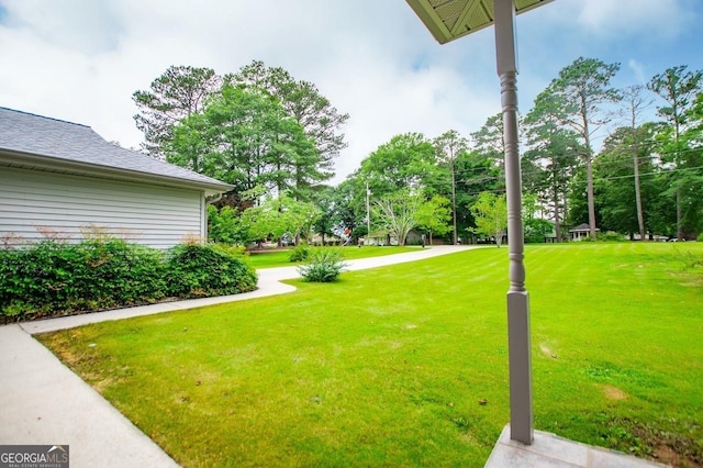 65 Pine Haven Ct, Carrollton, GA 30116 - view of green lawn