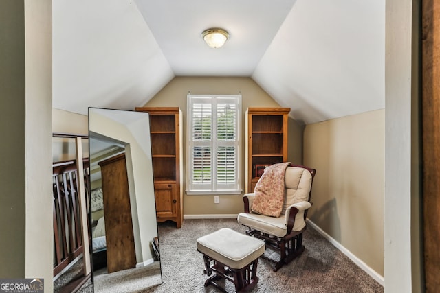 2624 E Madison Dr, Atlanta, GA 30360 - sitting room featuring lofted ceiling, carpet flooring, and baseboards