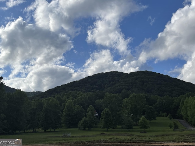 54 Candy Land Dr, Cleveland, GA 30528 - view of mountain backdrop with a heavily wooded area