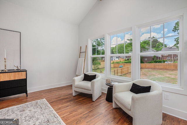 1721 S Gordon St SW, Atlanta, GA 30310 - living area featuring high vaulted ceiling and wood finished floors