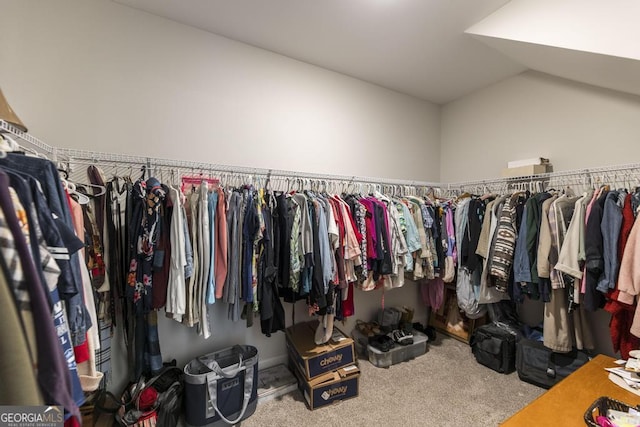 128 Arbor Crk, Warner Robins, GA 31093 - spacious closet featuring carpet floors and lofted ceiling