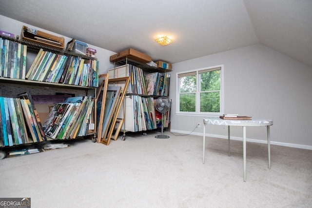 3187 Oak Grove Church Rd, Carrollton, GA 30117 - walk in closet featuring carpet flooring and vaulted ceiling