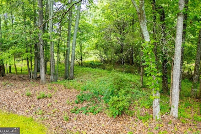 3187 Oak Grove Church Rd, Carrollton, GA 30117 - view of wooded area