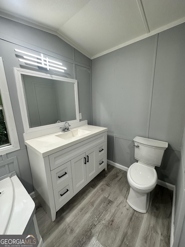 19 Poole Cir, Ellenwood, GA 30294 - half bathroom featuring vanity, lofted ceiling, wood finished floors, toilet, and a decorative wall