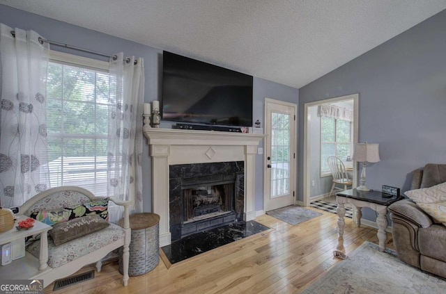 62 Lazy Water Dr SW, Cartersville, GA 30120 - living area featuring a textured ceiling, hardwood / wood-style floors, lofted ceiling, and a premium fireplace