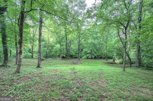 62 Lazy Water Dr SW, Cartersville, GA 30120 - view of green lawn featuring a wooded view
