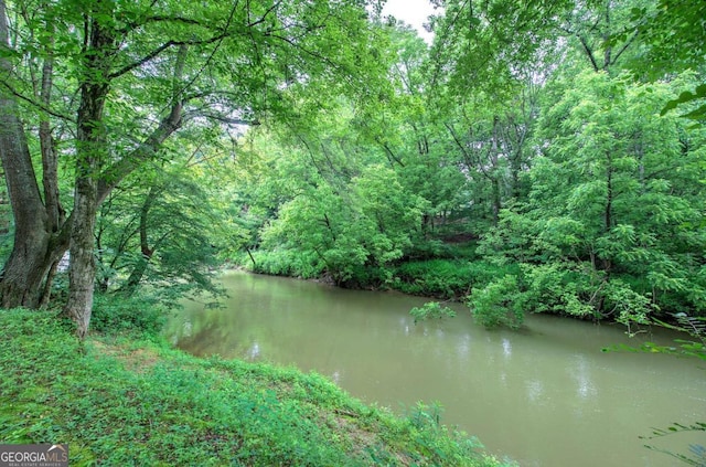 62 Lazy Water Dr SW, Cartersville, GA 30120 - water view with a forest