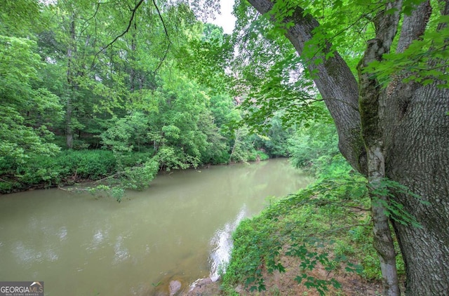 62 Lazy Water Dr SW, Cartersville, GA 30120 - water view with a forest