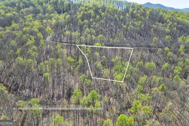 LOT88 Rocky Knob Ests, Young Harris, GA 30582
