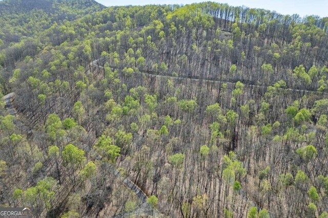 LOT88 Rocky Knob Ests, Young Harris, GA 30582