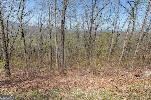 LOT88 Rocky Knob Ests, Young Harris, GA 30582