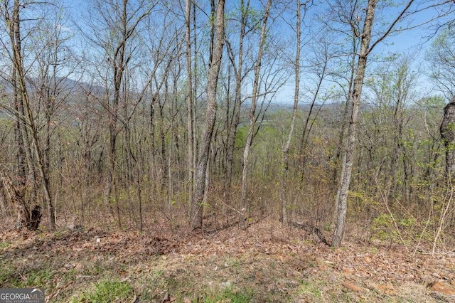 LOT88 Rocky Knob Ests, Young Harris, GA 30582