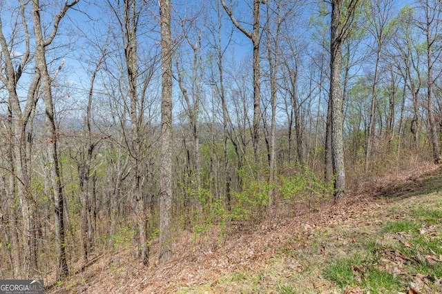 LOT88 Rocky Knob Ests, Young Harris, GA 30582