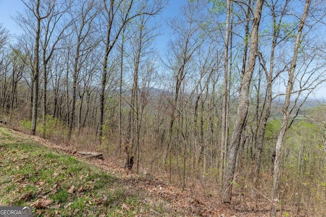 LOT88 Rocky Knob Ests, Young Harris, GA 30582