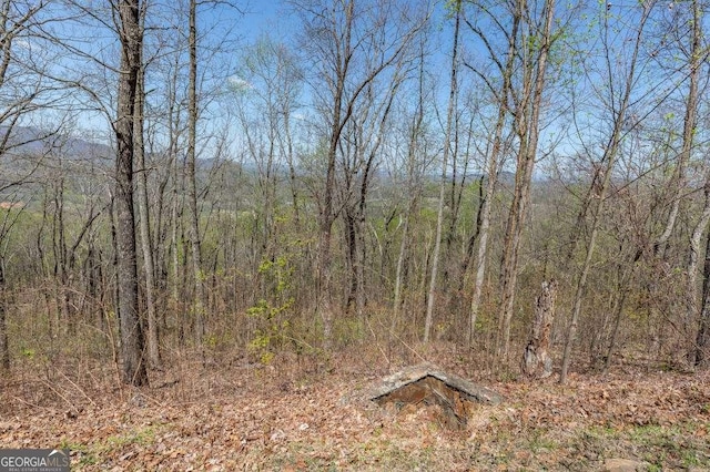 LOT88 Rocky Knob Ests, Young Harris, GA 30582