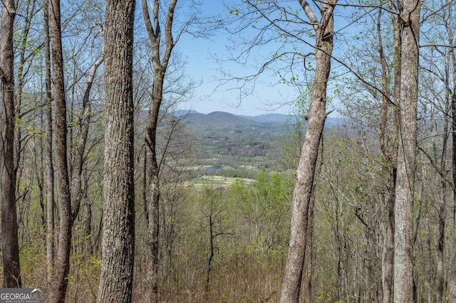 LOT88 Rocky Knob Ests, Young Harris, GA 30582