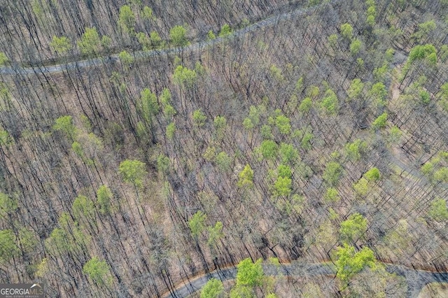 LOT88 Rocky Knob Ests, Young Harris, GA 30582