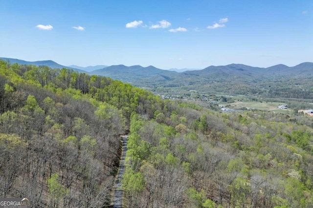 LOT88 Rocky Knob Ests, Young Harris, GA 30582