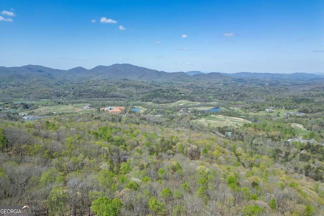 LOT88 Rocky Knob Ests, Young Harris, GA 30582