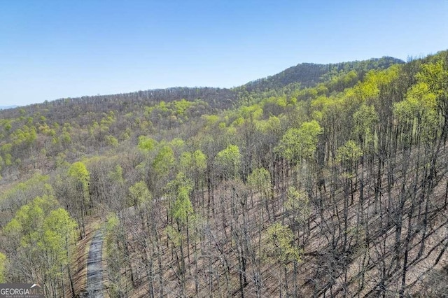 LOT88 Rocky Knob Ests, Young Harris, GA 30582