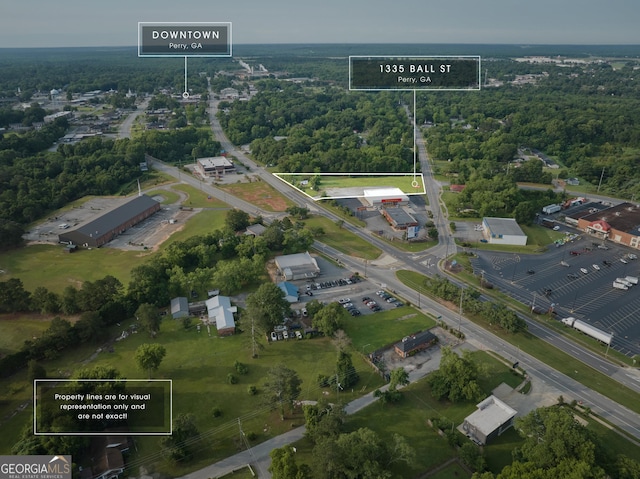 1335 Ball St, Perry, GA 31069