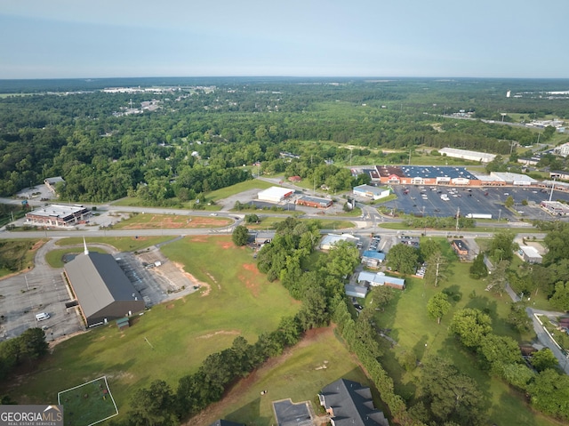 1335 Ball St, Perry, GA 31069