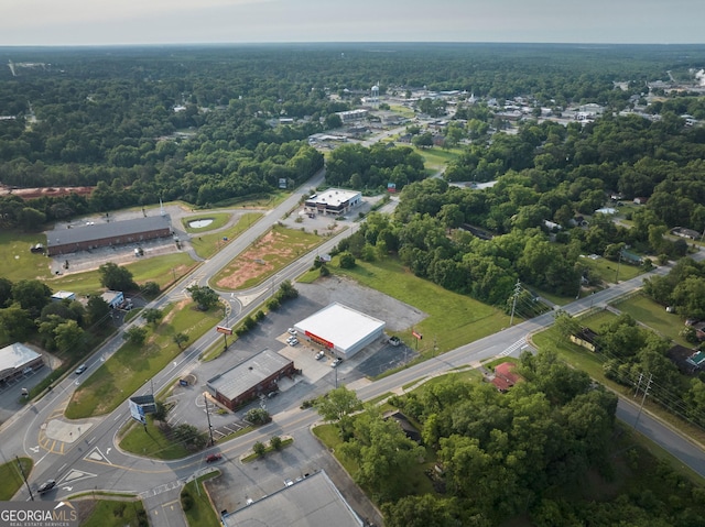 1335 Ball St, Perry, GA 31069